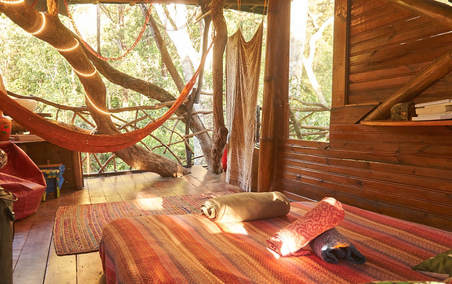 DM_20250130162749_001