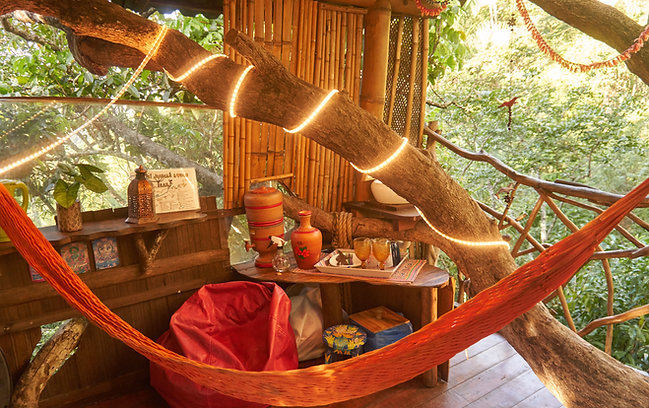 DM_20250130162749_003