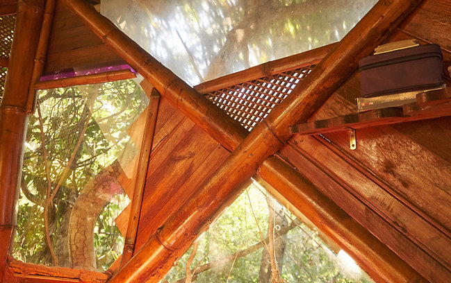 DM_20250130162749_011