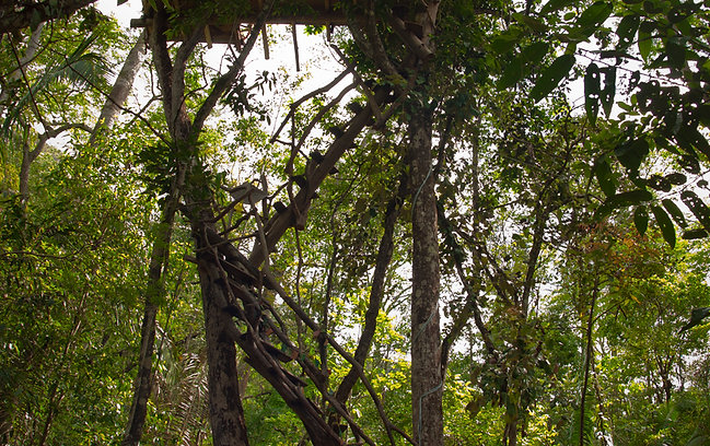 DM_20250130162749_019